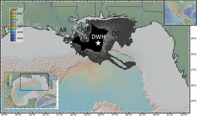 A Synthesis of Deep Benthic Faunal Impacts and Resilience Following the Deepwater Horizon Oil Spill